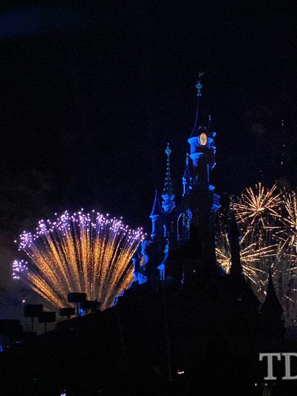 Disney's Magical Fireworks and Bonfire